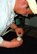2 eggs laid by Chinese-donated ibis possibly fertilized